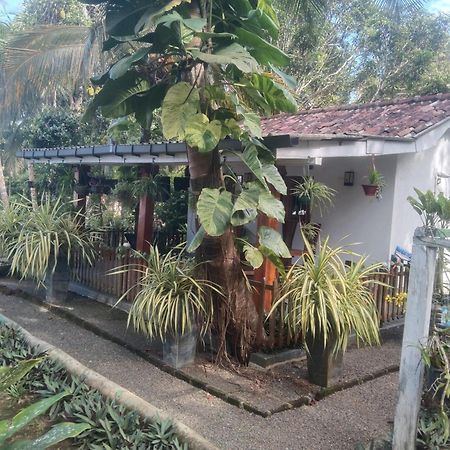 Lovers Green Villa 马特勒 外观 照片