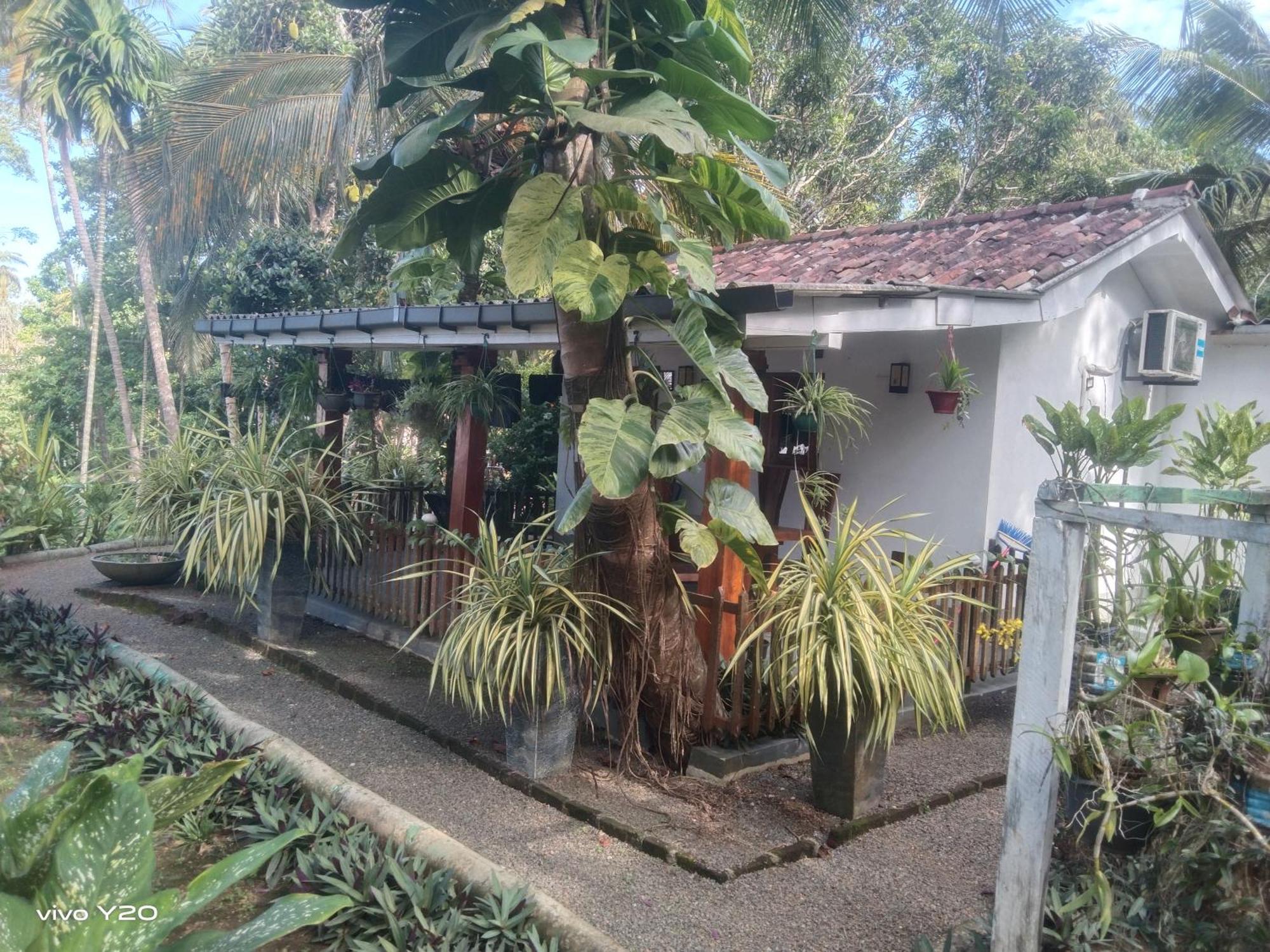 Lovers Green Villa 马特勒 外观 照片